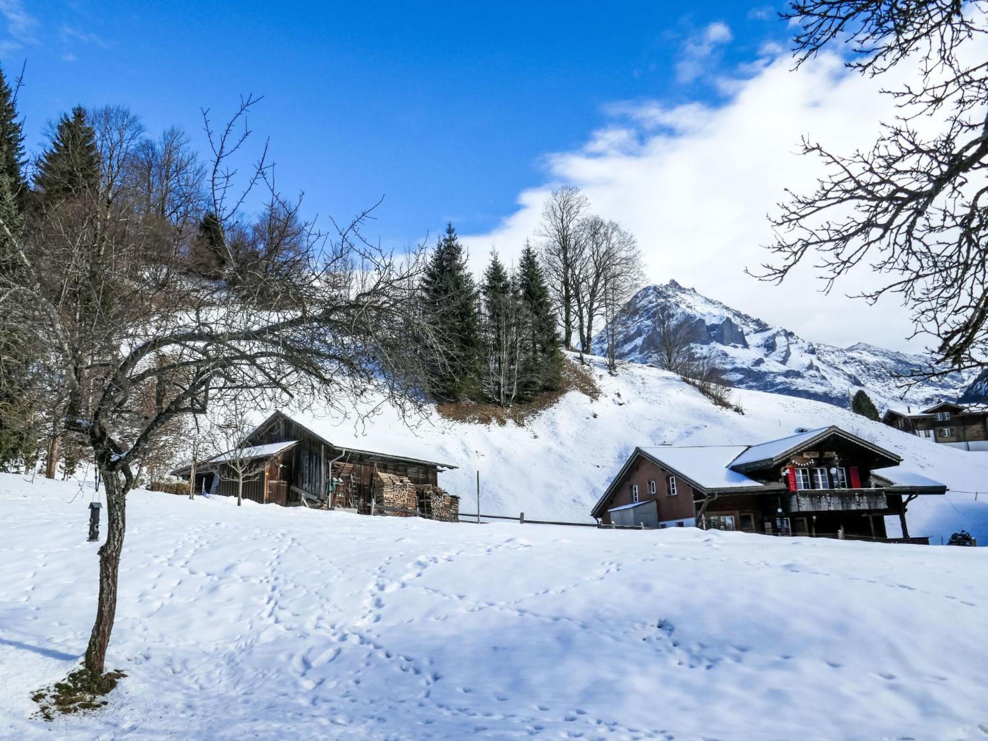 Apartment Chalet Schwendihus-6 By Interhome Grindelwald Exterior foto